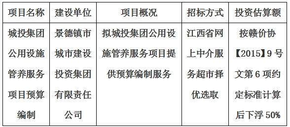 城投集團公用設(shè)施管養(yǎng)服務項目預算編制計劃公告