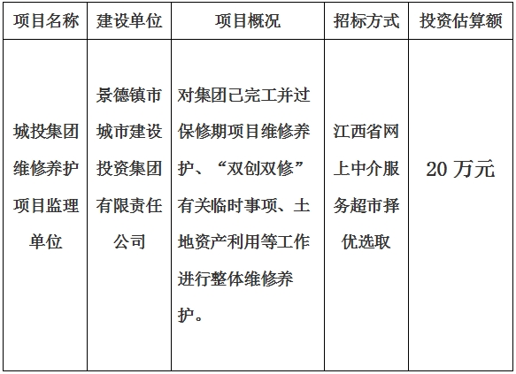 城投集團維修養(yǎng)護項目監(jiān)理單位計劃公告