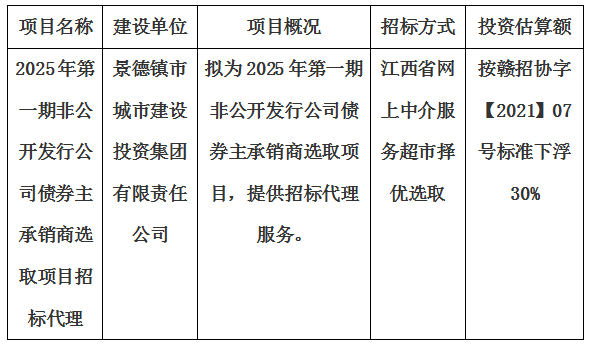 2025年第一期非公開(kāi)發(fā)行公司債券主承銷商選取項(xiàng)目招標(biāo)代理計(jì)劃公告