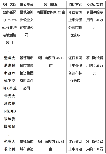 景德鎮(zhèn)市昌南新區(qū)LJ1-03-A01-1地塊、瓷都大道東側(cè)中渡口地下空間（格蘭云天大酒店地下空間）、光明大道北側(cè)利民路西側(cè)地下空間（青少年宮地下空間）、規(guī)劃二路北側(cè)地下空間地塊二（加速基地地下空間）、規(guī)劃二路北側(cè)地下空間地塊一（加速基地地下空間）、景德大道南側(cè)天寶橋西側(cè)地塊、景興大道東側(cè)如意路北側(cè)地下空間(社會公共服務(wù)