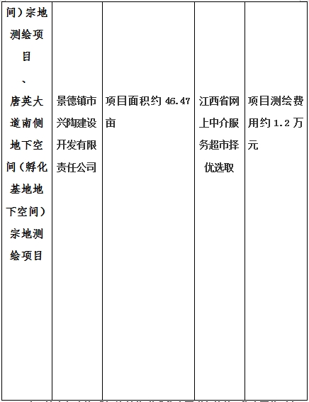 景德鎮(zhèn)市昌南新區(qū)LJ1-03-A01-1地塊、瓷都大道東側(cè)中渡口地下空間（格蘭云天大酒店地下空間）、光明大道北側(cè)利民路西側(cè)地下空間（青少年宮地下空間）、規(guī)劃二路北側(cè)地下空間地塊二（加速基地地下空間）、規(guī)劃二路北側(cè)地下空間地塊一（加速基地地下空間）、景德大道南側(cè)天寶橋西側(cè)地塊、景興大道東側(cè)如意路北側(cè)地下空間(社會公共服務(wù)